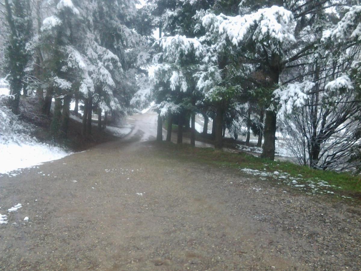 Gite De Prejeurin Echalas Buitenkant foto