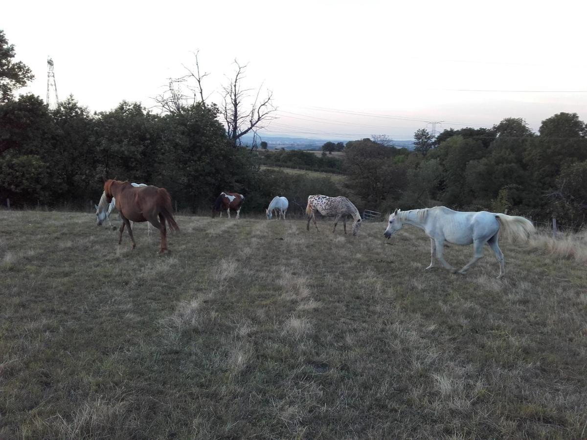 Gite De Prejeurin Echalas Buitenkant foto