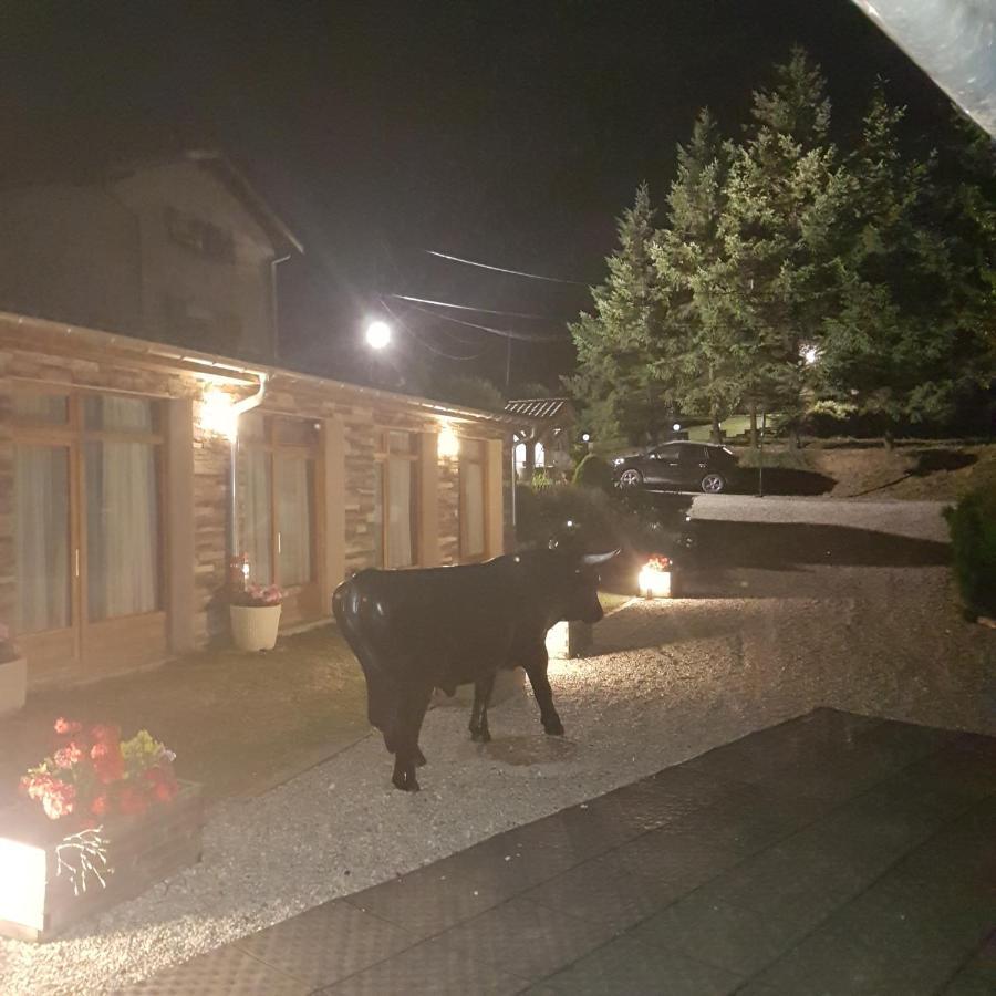 Gite De Prejeurin Echalas Buitenkant foto